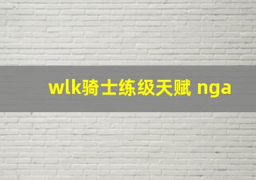 wlk骑士练级天赋 nga